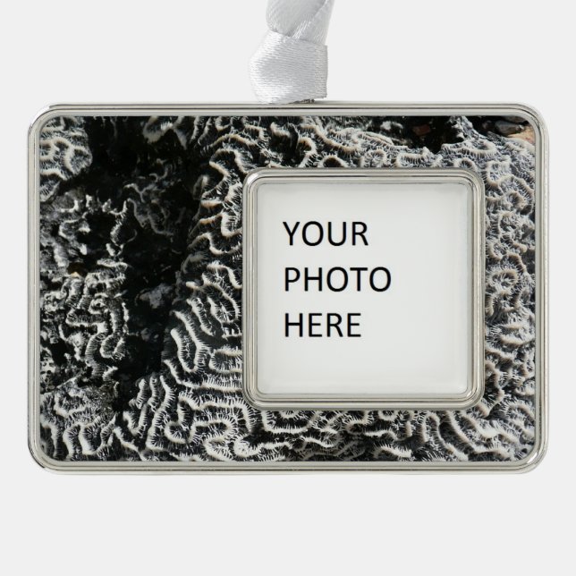 Black and White Coral I Abstract Nature Photo Christmas Ornament (Front)