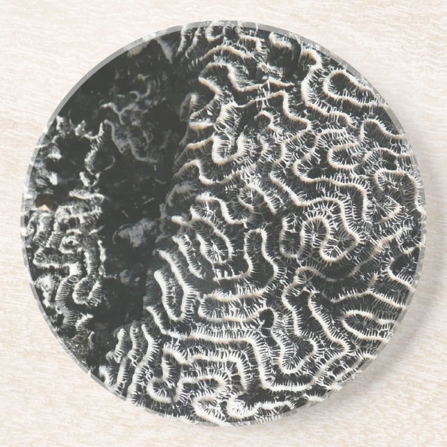 Black and White Coral I Abstract Nature Photo Drink Coaster (Front)