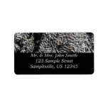 Black and White Coral I Abstract Nature Photo Label