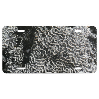 Black and White Coral I Abstract Nature Photo License Plate