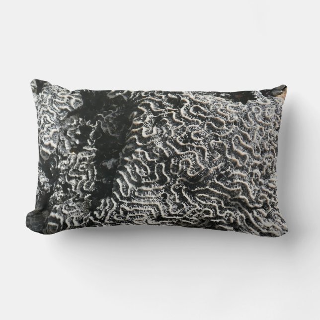 Black and White Coral I Abstract Nature Photo Lumbar Pillow (Front)