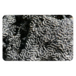 Black and White Coral I Abstract Nature Photo Magnet