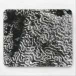 Black and White Coral I Abstract Nature Photo Mouse Pad