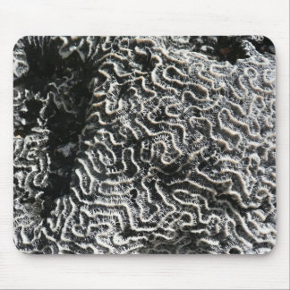 Black and White Coral I Abstract Nature Photo Mouse Pad
