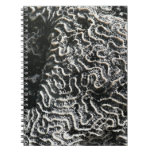 Black and White Coral I Abstract Nature Photo Notebook