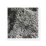 Black and White Coral I Abstract Nature Photo Paper Napkins