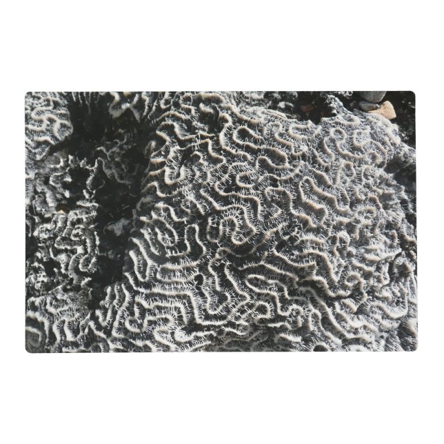 Black and White Coral I Abstract Nature Photo Placemat (Front)