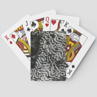 Black and White Coral I Abstract Nature Photo Poker Cards