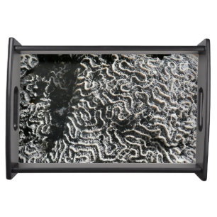 Black and White Coral I Abstract Nature Photo Serving Tray