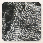Black and White Coral I Abstract Nature Photo Square Paper Coaster