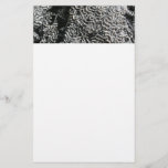 Black and White Coral I Abstract Nature Photo Stationery