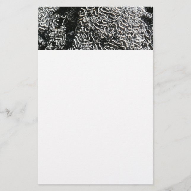 Black and White Coral I Abstract Nature Photo Stationery (Front)