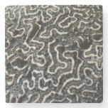 Black and White Coral I Abstract Nature Photo Stone Coaster