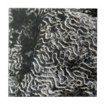 Black and White Coral I Abstract Nature Photo Tile