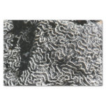 Black and White Coral I Abstract Nature Photo Tissue Paper