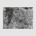 Black and White Coral I Abstract Nature Photo Tissue Paper