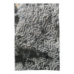 Black and White Coral I Abstract Nature Photo Towel