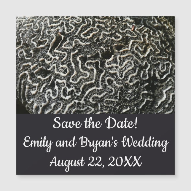 Black and White Coral II Abstract Nature Photo (Front)