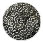 Black and White Coral II Abstract Nature Photo Ceramic Knob