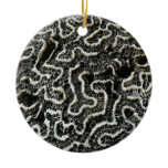 Black and White Coral II Abstract Nature Photo Ceramic Ornament