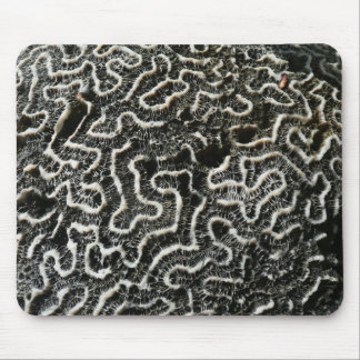 Black and White Coral II Abstract Nature Photo Mouse Pad