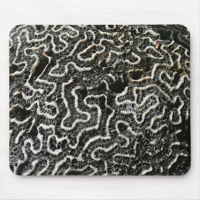Black and White Coral II Abstract Nature Photo Mouse Pad (Front)