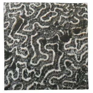 Black and White Coral II Abstract Nature Photo Napkin