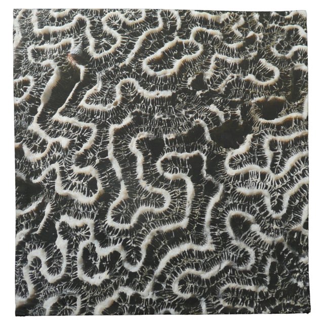 Black and White Coral II Abstract Nature Photo Napkin (Front)