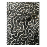 Black and White Coral II Abstract Nature Photo Notebook