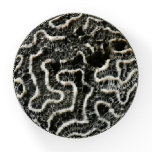 Black and White Coral II Abstract Nature Photo Paperweight