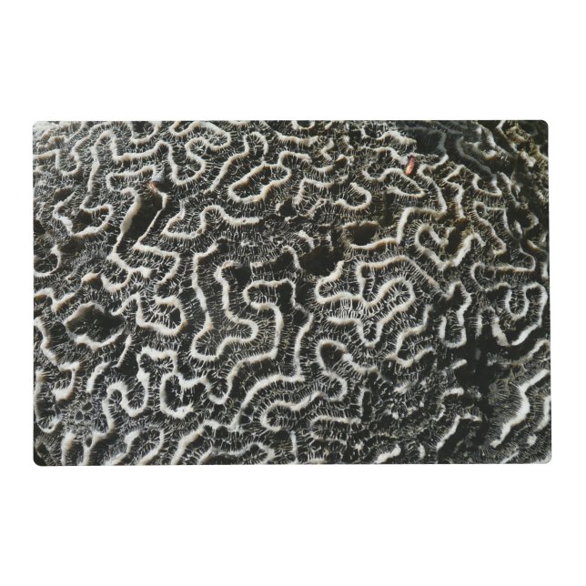 Black and White Coral II Abstract Nature Photo Placemat (Front)