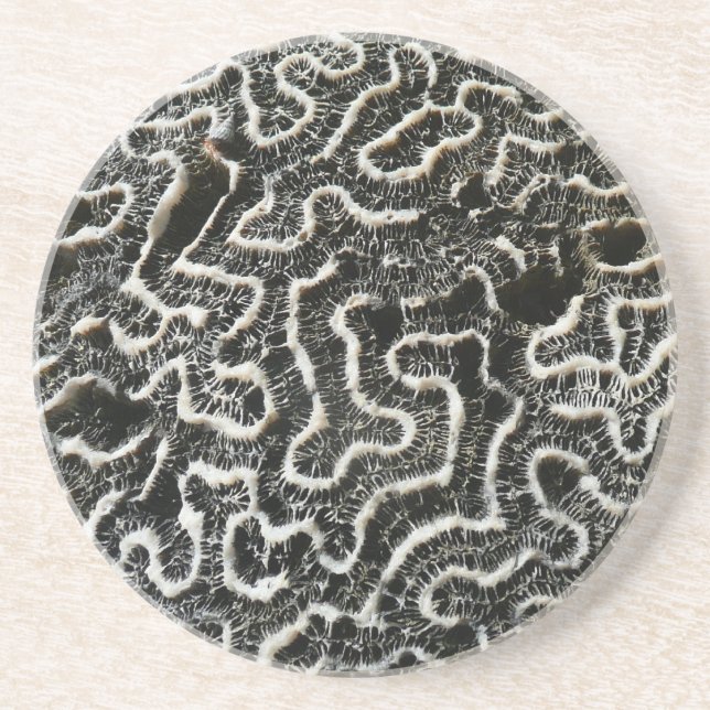 Black and White Coral II Abstract Nature Photo Sandstone Coaster (Front)