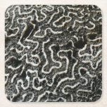 Black and White Coral II Abstract Nature Photo Square Paper Coaster