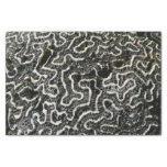 Black and White Coral II Abstract Nature Photo Tissue Paper