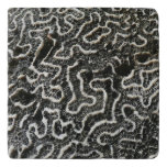 Black and White Coral II Abstract Nature Photo Trivet