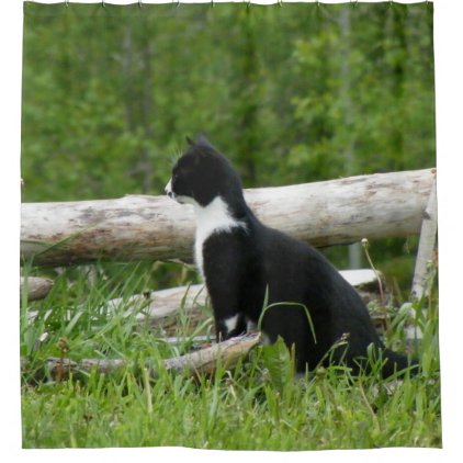 Black and White Country Kitten Shower Curtain