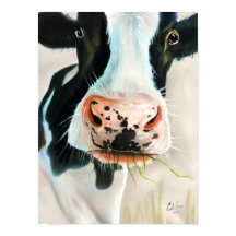 Black and white cow portrait painting