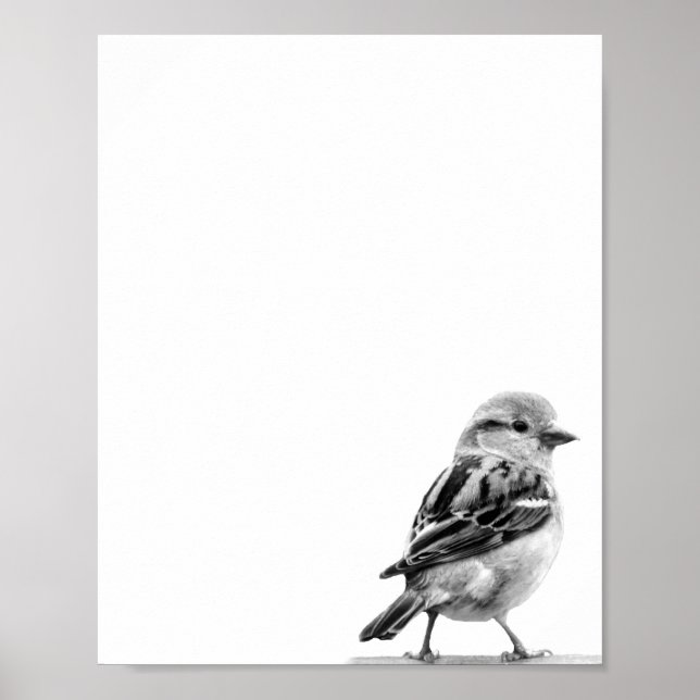 Black and White Cute Wild Bird Photo Poster (Front)