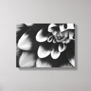 Black and White Dahlia Flower Blossom Canvas Print