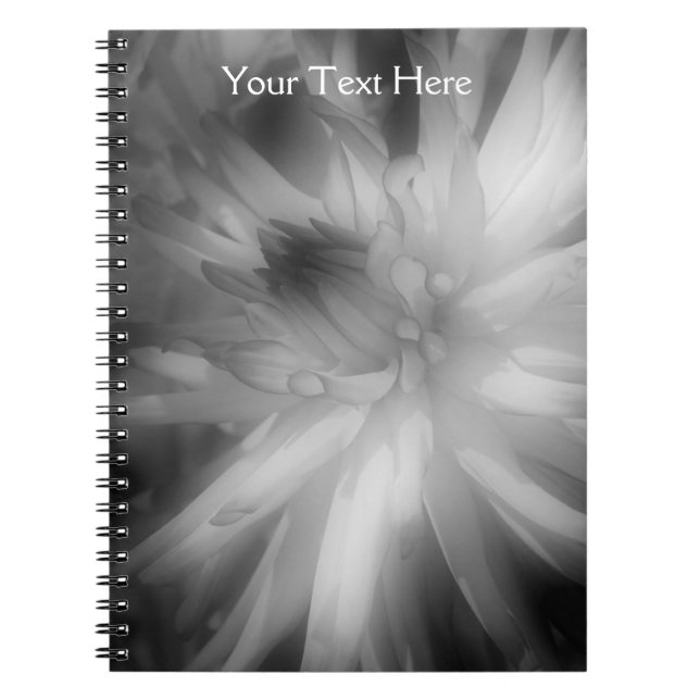 Black And White Dahlia Flower Petals Notebook (Front)
