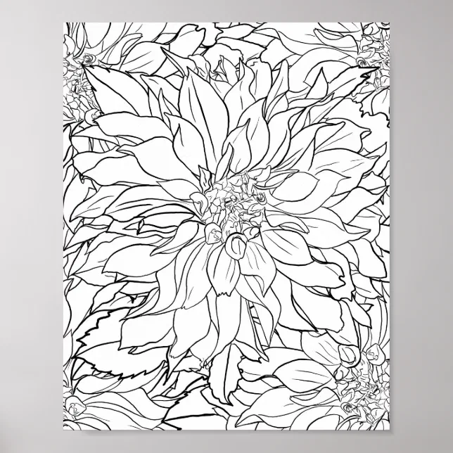 Black and White Dahlia Flower Poster | Zazzle