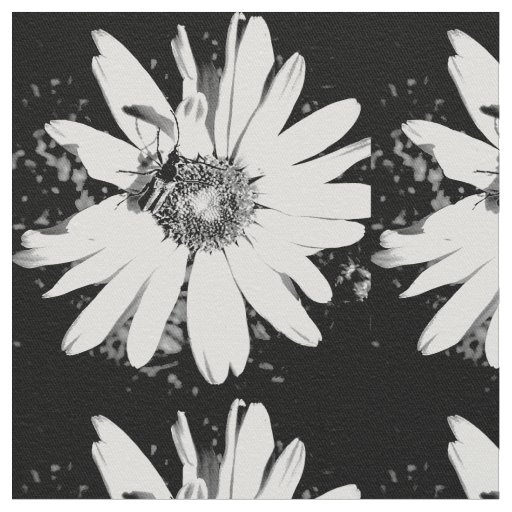 Black and White Daisey Fabric