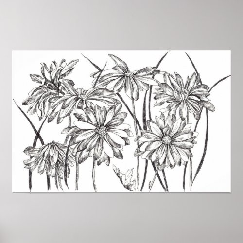 Black and White Daisy Flower Garden Drawing Poster