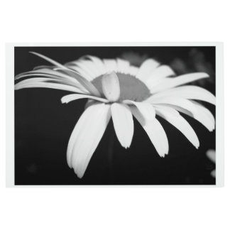 Black and White Daisy Metal Print