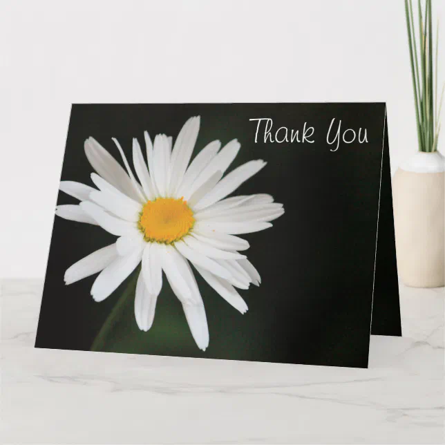 Black And White Daisy Thank You Card | Zazzle