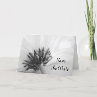 Black and White Daisy Wedding Save the Date Announcement
