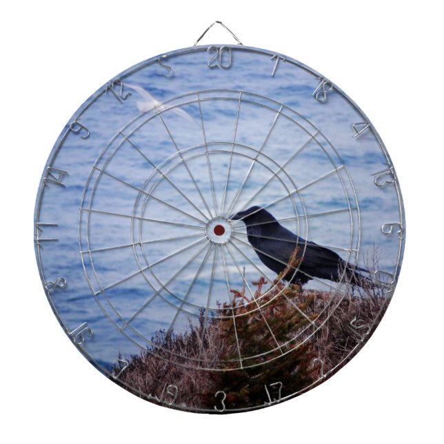 Black And White Dartboard With Darts (Front)