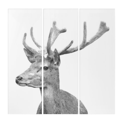 Black and white deer animal portrait triptych