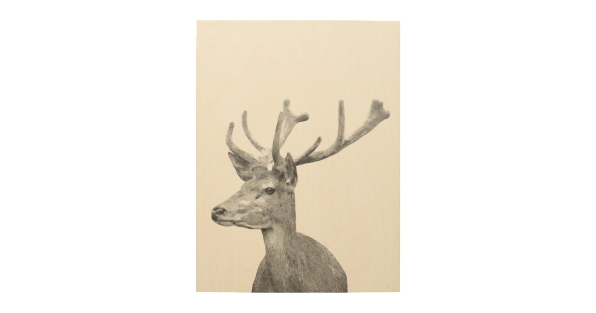 Black And White Deer Animal Portrait Wood Wall Art Zazzle Com