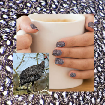 Black And White Design Guinea Fowl Minx Nail Wraps by CatsEyeViewGifts at Zazzle